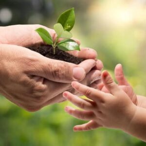 برنامج كفالة يتيم